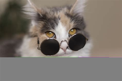 Passive voice – ABC English Levels