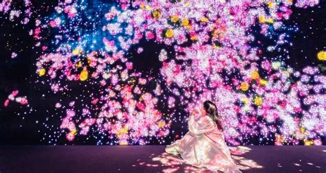 Guide to TeamLab Planets Tokyo: Highlights & Essential Tips