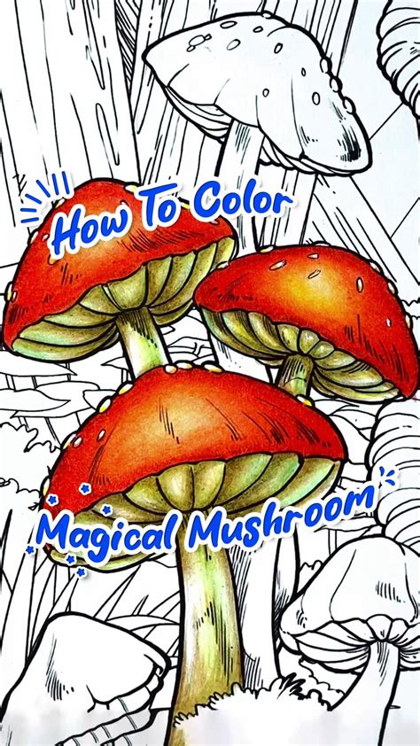 Image result for Adult Colored Pencils Tutorials