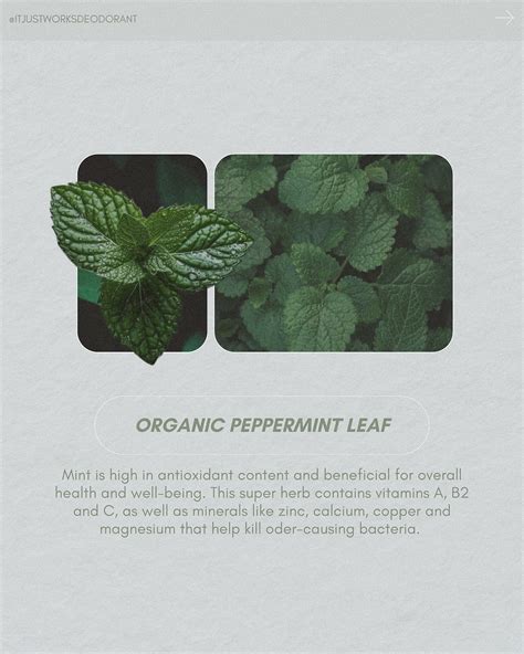 It Just Works Deodorant (@itjustworksdeodorant) • Instagram photos and ...