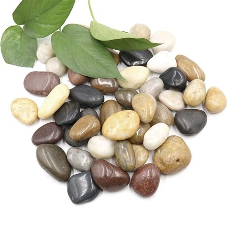 Kaju Polished Mixed Pebbles for Decoration |Garden|Table|Terrariums| H ...
