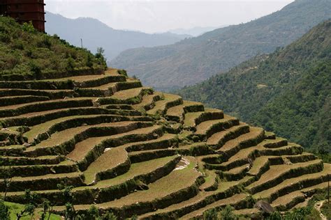Mountain Terrace Farming Terrace Farming Paddy Fields (Nepal)