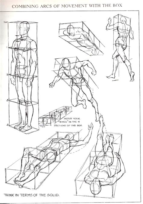 busket | Perspective drawing lessons, Human figure drawing, Figure drawing reference