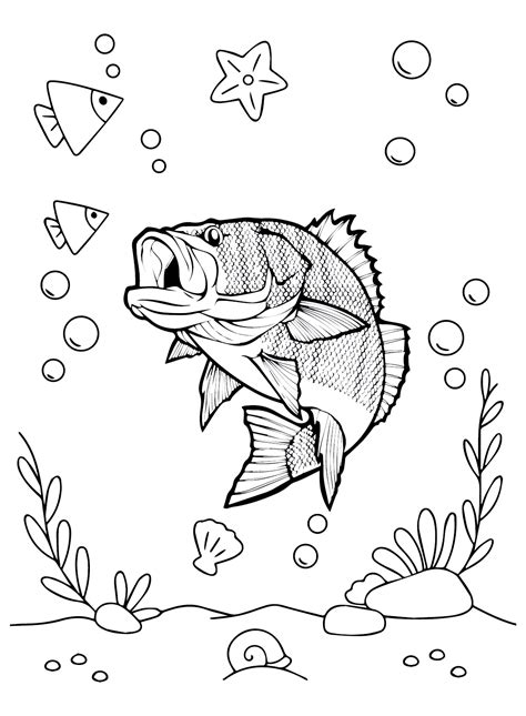 Bass Fish Coloring Page
