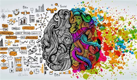 Human Brain Explained 的图像结果