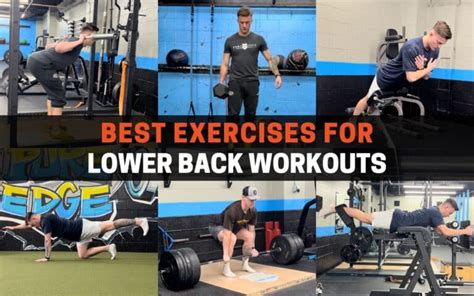 9 Best Exercises for Lower Back Workouts | PowerliftingTechnique.com