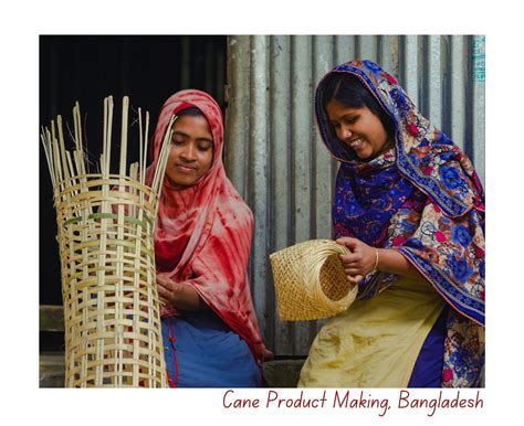 Homenet South Asia