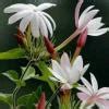 The product of all odd number between 3 and 8 is Subject is - Maths I ...