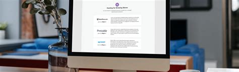 Online Store Host 的图像结果