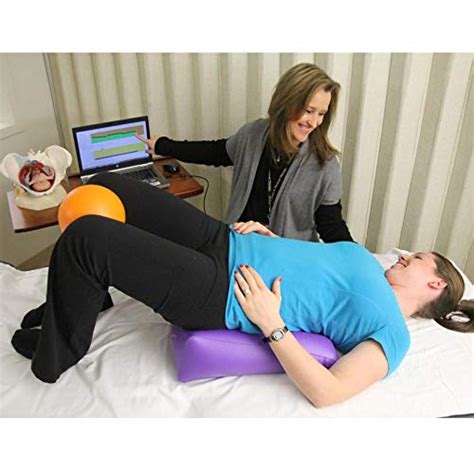 Wadoy Pelvic Floor Model, Female Pelvis Model, Pelvic Floor Muscle ...