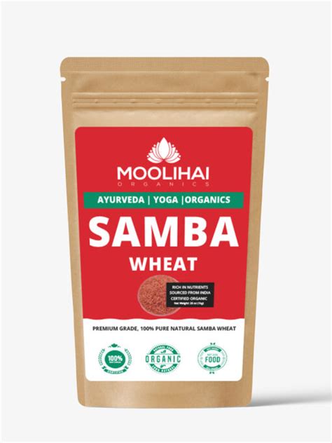Samba Wheat / Samba Godhumai / Lapsi Rava / Gothumbu Nurukku / Danchina ...
