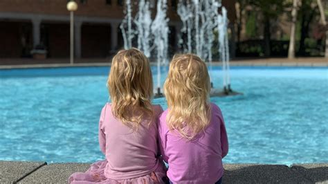 Image result for Primates Breeding