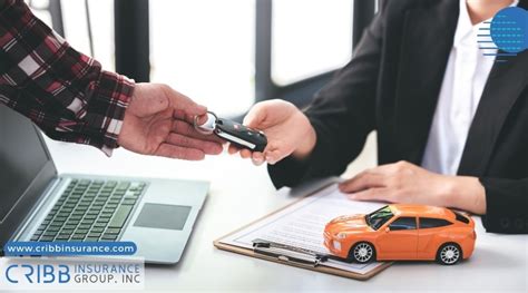 Basic Auto Insurance 的图像结果