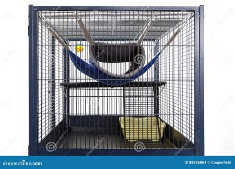 Nice Large Ferret Cage Equipped with Hammock and Toilette Stock Photo ...
