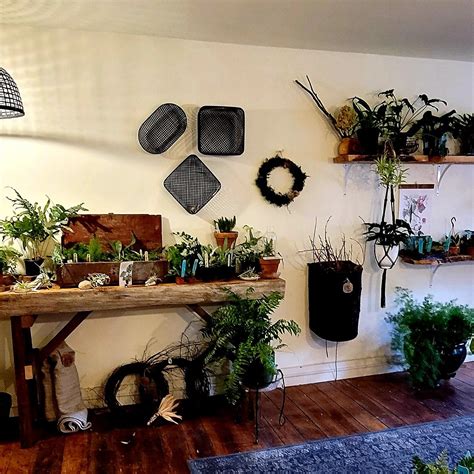 MUHLY & CEDAR (2026) All You Need to Know BEFORE You Go (with Photos ...