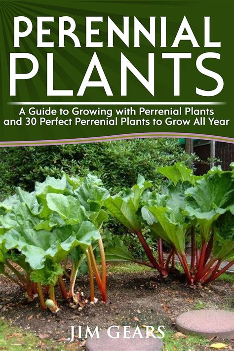 Perennial Plants: Grow All Year Round With Perrenial Plants, Vegetables ...