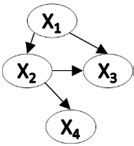 Bayesian Random Network 的图像结果