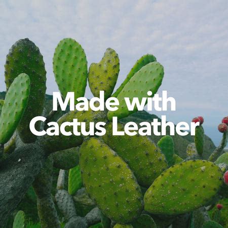 Buy Shampoo Bar | Black Onion Seed | Anti Dandruff Online on Brown ...