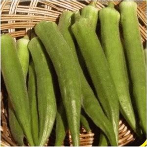 VibeX ® VMR-532 Emerald Okra Seeds - Gold Vault Seed Price in India ...