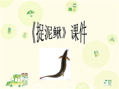 《捉泥鳅》课件2_word文档在线阅读与下载_免费文档