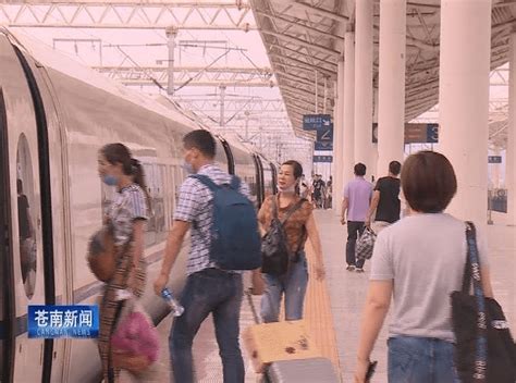 苍南公路、高铁客运班次恢复正常运营！_旅客