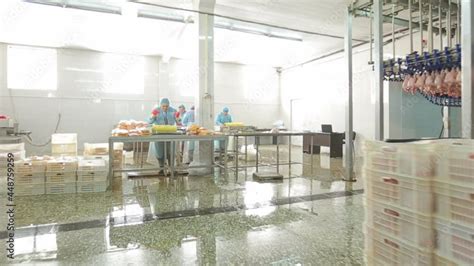 Inside Cattle Processing Plant Video 的图像结果