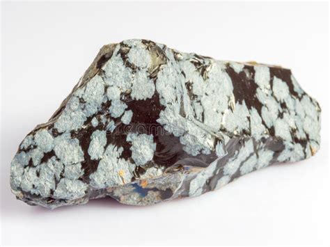 Image result for Snow Obsidian