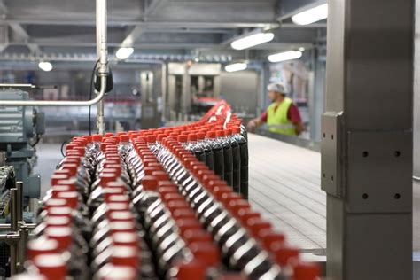 Coca Cola Entreprise s’engage à former davantage de jeunes en alternance