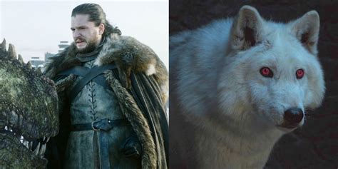 Game Of Thrones: Ghost the Direwolf Is the Best Choice for the Iron Throne