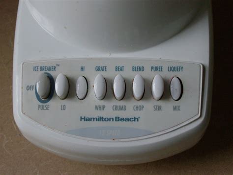 Making Homemade Paper 的图像结果