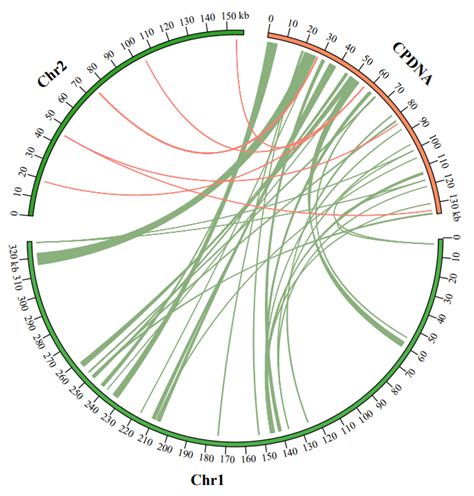 Complete Mitochondrial Genome Assembly of an Upland Wild Rice Species, Oryza granulata and ...
