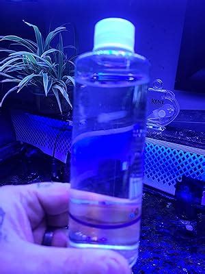 Atlantic Buy Live Copepods Tisbe biminiensis - 8oz at Ubuy India