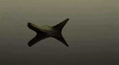 How Does the Solubility of Oxygen Change with Water Temperature? → Learn