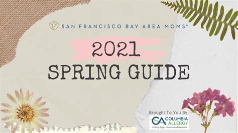 Image result for Spring 1 Guide