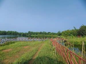 Top 8 things to do in Mancherial (Updated Mar 2025)