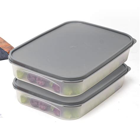 Buy Anko 2.5 Litre BPA-free Flat Rectangular Airtight Reusable LDPE ...