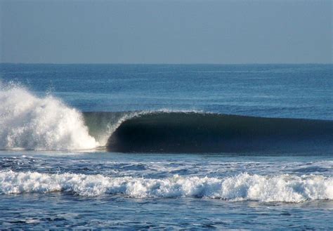 Paredon Script Fe 的图像结果