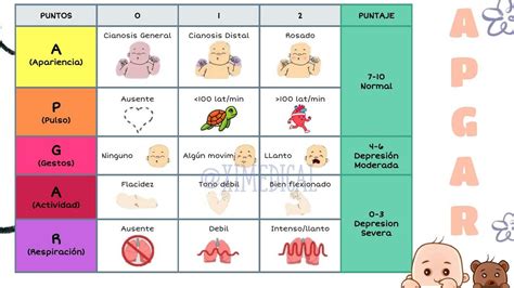 Image result for Que Significa Apgar