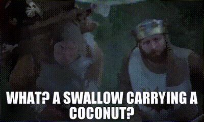 Monty Python Swallow 的图像结果