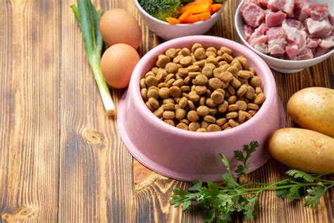 Why You Should Read Pet Food Ingredients Before Buying Pet Food