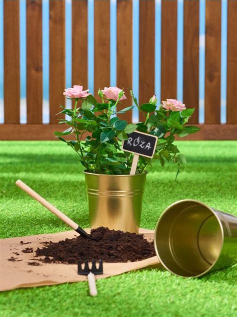 Pakovanje od 2 saksije Boja zlatni - SINSAY - 368AL-GLD