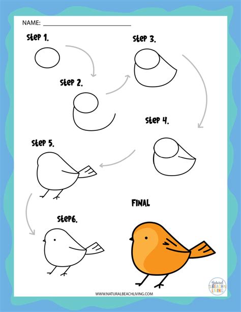 Image result for How to Draw Animals