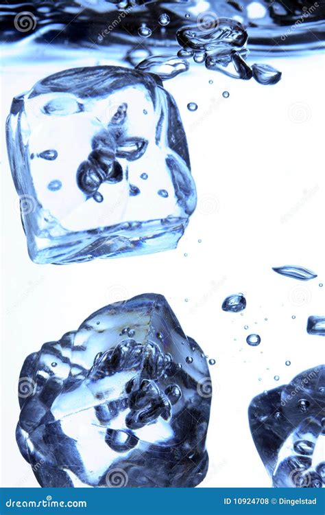 Ice cubes in water stock photo. Image of pack, cubes - 10924708