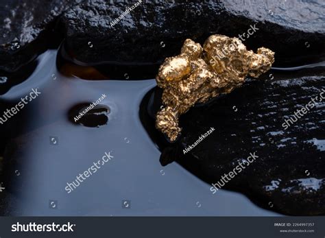 Pure Gold Ore Found Mines Natural Stock Photo 2264997357 | Shutterstock