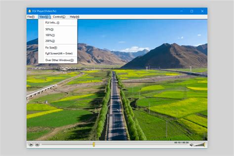 Image result for FLV File Player