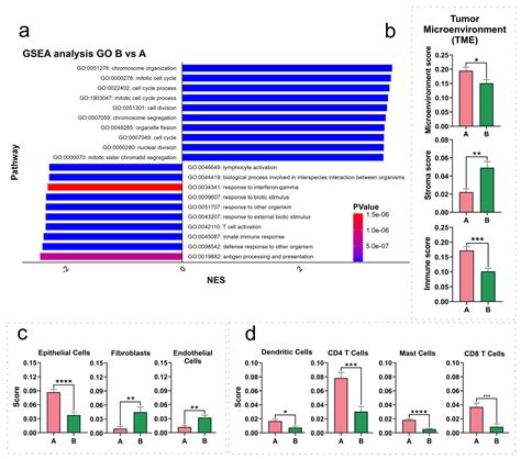 Distinct Transcriptomic and Tumor Microenvironment Profiles in ...