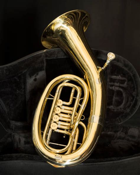 Image result for Baritone Instrument