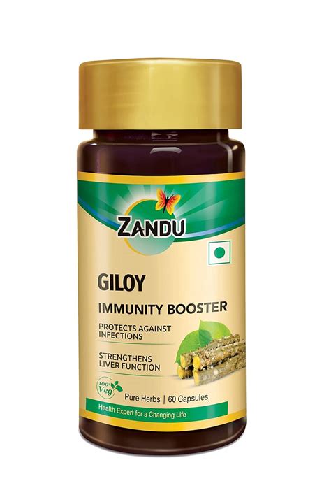 Zandu Giloy Capsules (Guduchi), Natural Giloy Extract, Antioxidant ...