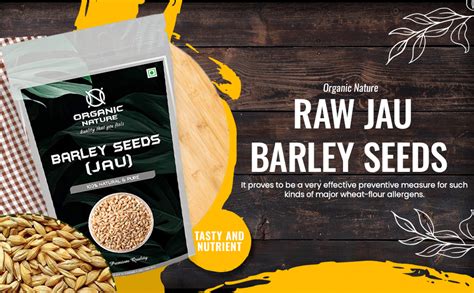 Organic Nature Raw Barley Seeds Jau (pack of 2kg) : Amazon.in: Grocery ...