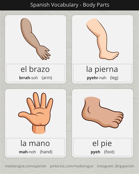 Spanish words for Arm, Leg, Hand, & Foot | Learning spanish, Spanish ...
